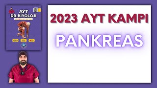 Endokrin Sistem - Pankreas AYT Biyoloji Kampı Konu Anlatımı/ 11.Sınıf 2024 Tayfa