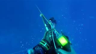 Spearfishing kooks and funny fails