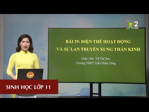 MÔN SINH HỌC LỚP 11| ĐIỆN THẾ HOẠT ĐỘNG VÀ SỰ LAN TRUYỀN XUNG THẦN KINH | 16H30 NGÀY 04.04.2020