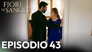 Fiore Di Sangue Episodio 43 Sottoolato In Italiano Kan Cicekleri