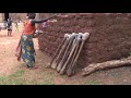 Africa