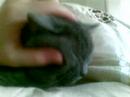 little booley...