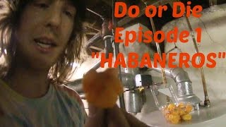 Do Or Die :Episode 1 |Habaneros|