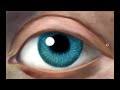 How to Paint a Realistic Eye on a Mobile Phone, Time Lapse