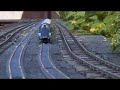 Live steam Mallard in the garden