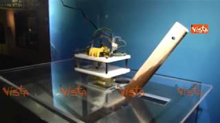 Polpo Robotico E Polpo Gigante Del Nord Pacifico Vicini Di Vasca Allacquario Genova