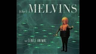 Watch Melvins A Vast Filthy Prison video