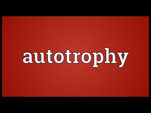 Header of autotrophy
