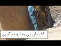 pashto local video 2021 information by pashto info
