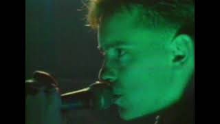 New Order - Everything'S Gone Green