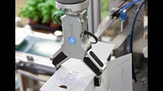 OnRobot collaborative grippers pack delicate herbs at Rosborg Greenhouse
