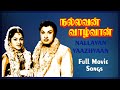Nallavan Vaazhvaan Full Movie Songs Jukebox | MGR | Rajasulochana | TR Pappa | Pyramid Glitz Music
