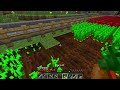Minecraft Cube SMP Episode 17: Villager Transportation