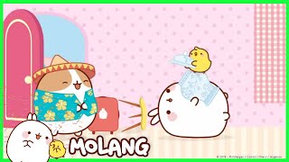 Molang - The Guest | Cartoon for kids