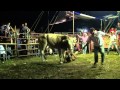 Rancho Jr En Amilcingo Morelos 5 Teretes