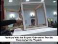 Osmaniye Güvercin İhalesi Bölüm - 1