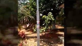 Hi-tech Institute Of Information and Technology Umeri Jeypore (K)