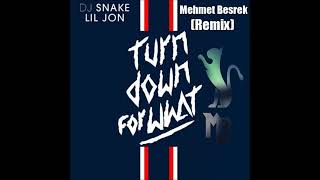 Dj Snake Lil Jon - Mehmet Besrek remix