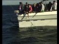 Snapper fishing Melbourne Port Phillip Bay Big Red is on now Snapper fishing Melbourne Port Phillip Bay Big Red is on now