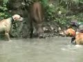 Pembunuhan Sadis 1 Lawan 3 Sarialstier images Pembunuhan Sadis 1 Lawan 3 Sarialstier