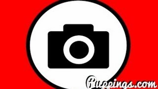 New Attempt at a Hidden Camera TV-Show