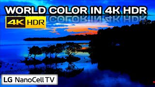 Lg Nanocell Tv - Color In 4K