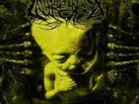 Sludge City Video