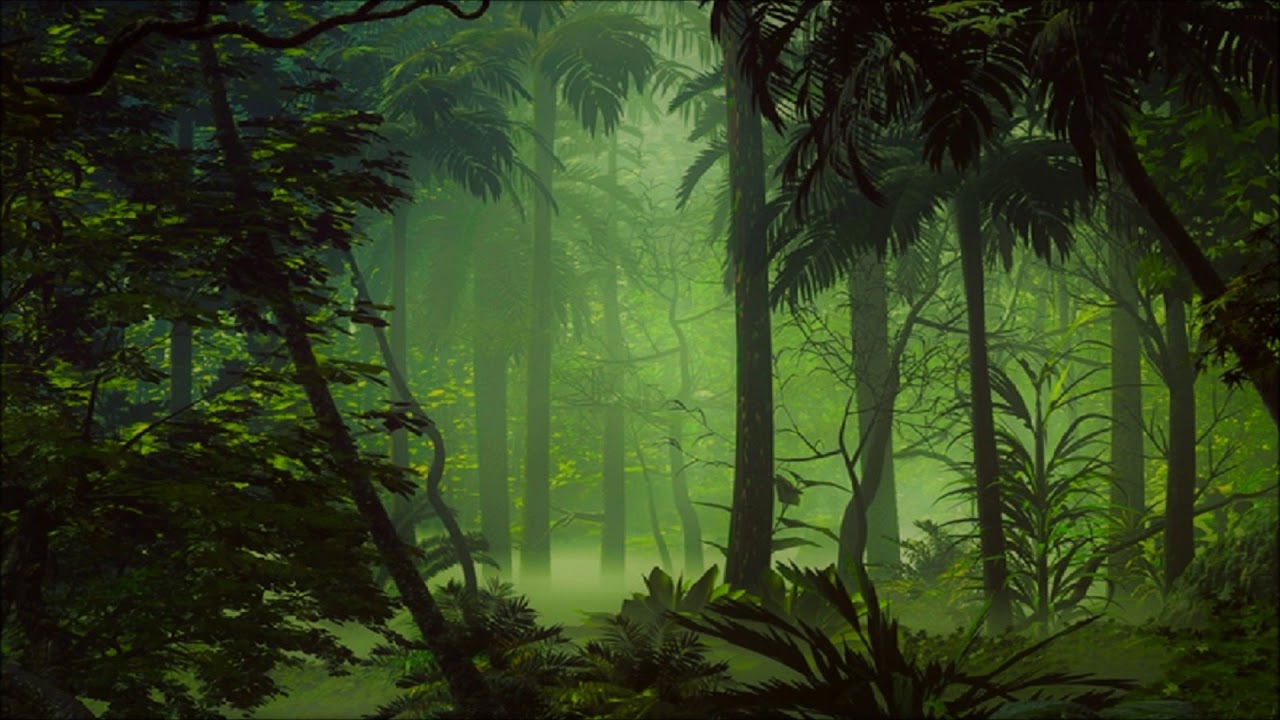 Secazz steamy jungle