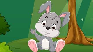 Allah'ı Arayan Tavşan - Bir Gün Bir Küçük Tavşan / Bibercik TV