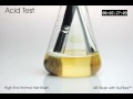 ABT Brush VS Prestige Animal Hair Brush - Acid Test