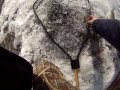30 Female Steelhead Caught And Released Wearing My Gopro images 30 Female Steelhead Caught And Released Wearing My Gopro