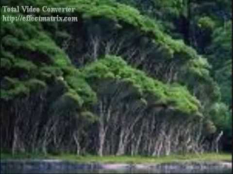 rabab mehfil sazeena 2