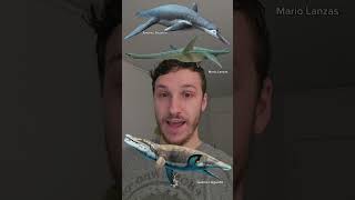 Whats A Plesiosaur?