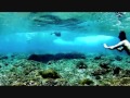 movingsurfpictures