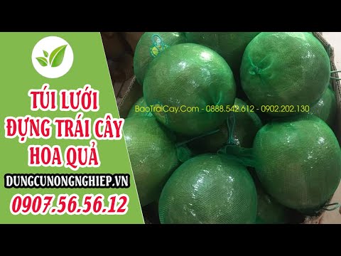 Túi lưới đựng trái cây hoa quả đồ chơi thông dụng