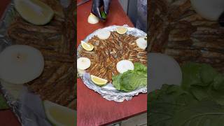 Hamsi Tava Marina Balık Ve Izgara