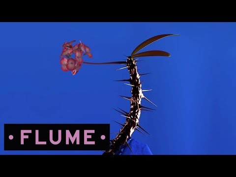 Flume - Fantastic feat. Dave Glass Animals
