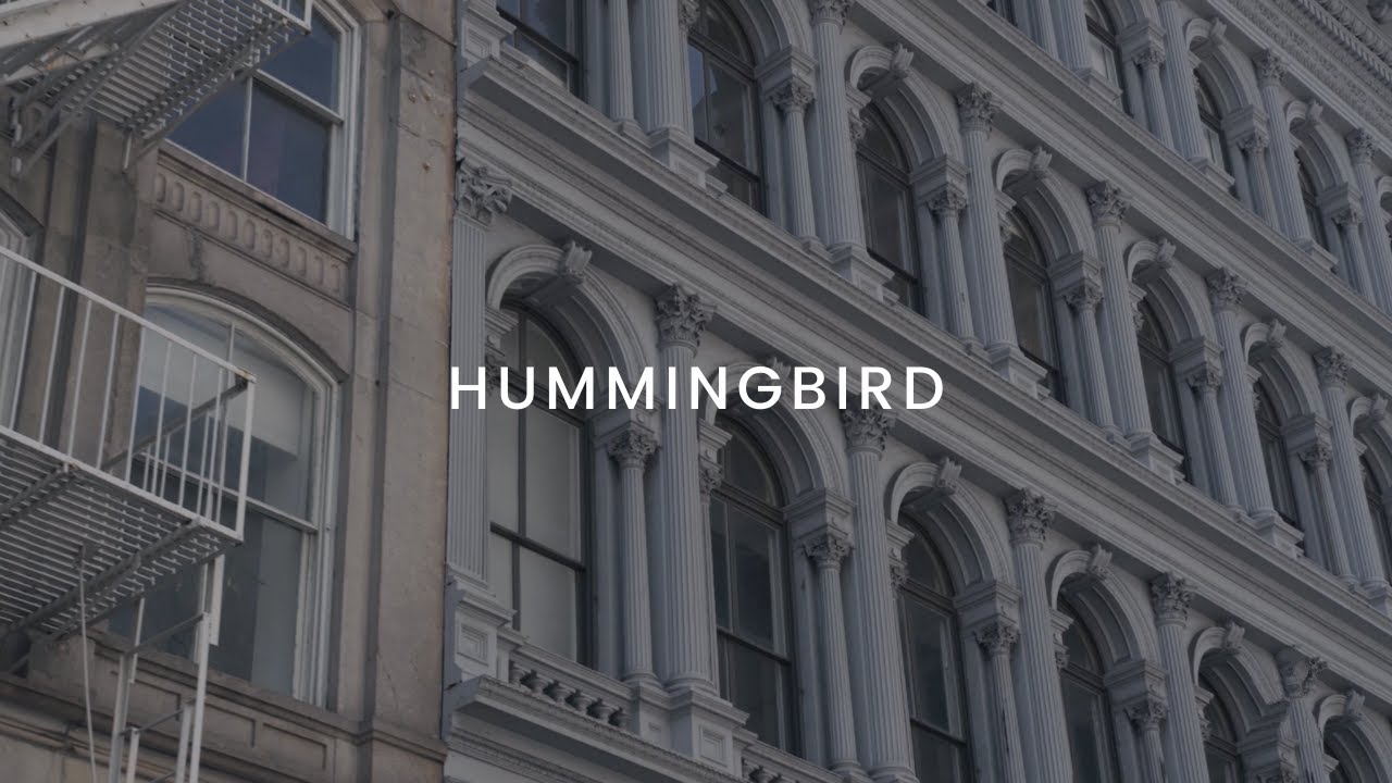 Michelle Alonso - Hummingbird (Lyric Video)