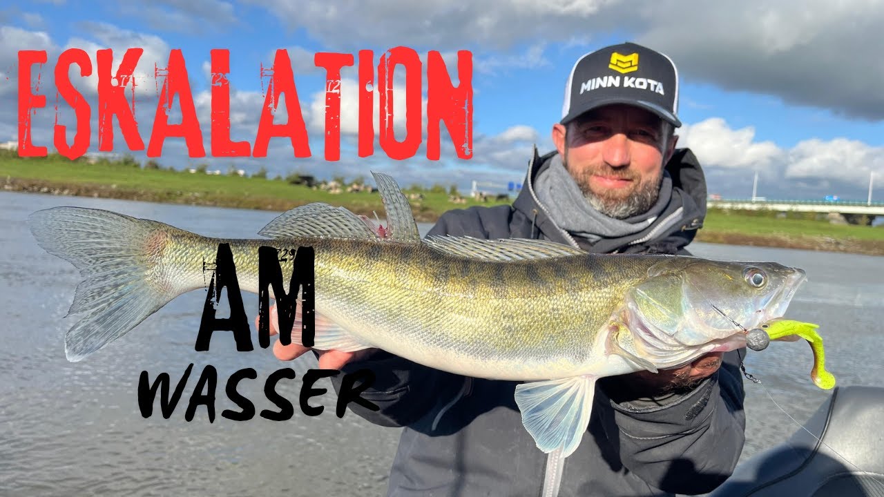 Live dabei: ZANDER-HOTSPOT explodiert-Biss auf Biss