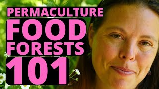 Permaculture Food Forests 101