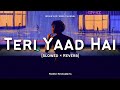 Himesh Reshammiya - Teri Yaad Hai [Slowed × Reverb] - Lofi Song | LOFI FEEL