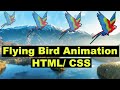 Flying Birds Animation using HTML/ CSS, CSS Animation Tutorial in Hindi/ Urdu, Cyber  Warriors