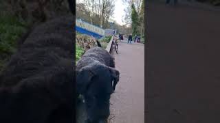 Lying On The Fence Aint Easy.
