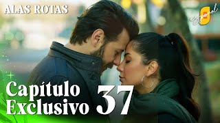 Alas Rotas Kanatsiz Kuslar - Capítulo Exclusivo 37 Doblado Al Español