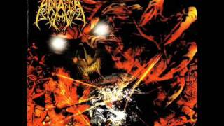 Watch Anata The Templeerratic video