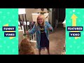 TRY NOT TO LAUGH - Funny Pet Videos! | November 2018
