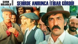 Şark Bülbülü Türk Filmi | Zülfo Ağa, Şaban'ın İtibar Görmesine Çıldırıyor!