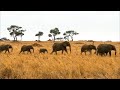 Tanzania, the Wild Heart of Africa
