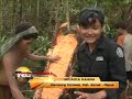 image Asmat Mengenal Lebih Dekat Suku Korowai Di Pedalaman Papua Indonesiaku Trans7
