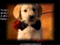musica romantica musica romantica